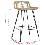 Chaises de bar lot de 2 rotin Naturel