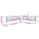 Ensemble de canapé Chesterfield et traversins 2pcs rose velours