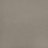 Canapé-lit à 2 places avec deux oreillers Gris clair Velours