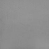 Canapé-lit à 2 places avec deux oreillers Gris clair Velours