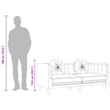 Canapé avec coussins 2 places rose velours