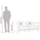 Canapé avec coussins 3 places noir velours