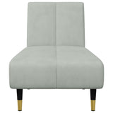 Ensemble de canapés 2 pcs gris clair velours