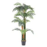 Coffee Coffee Palm de Florida Artificial 165 cm Florida