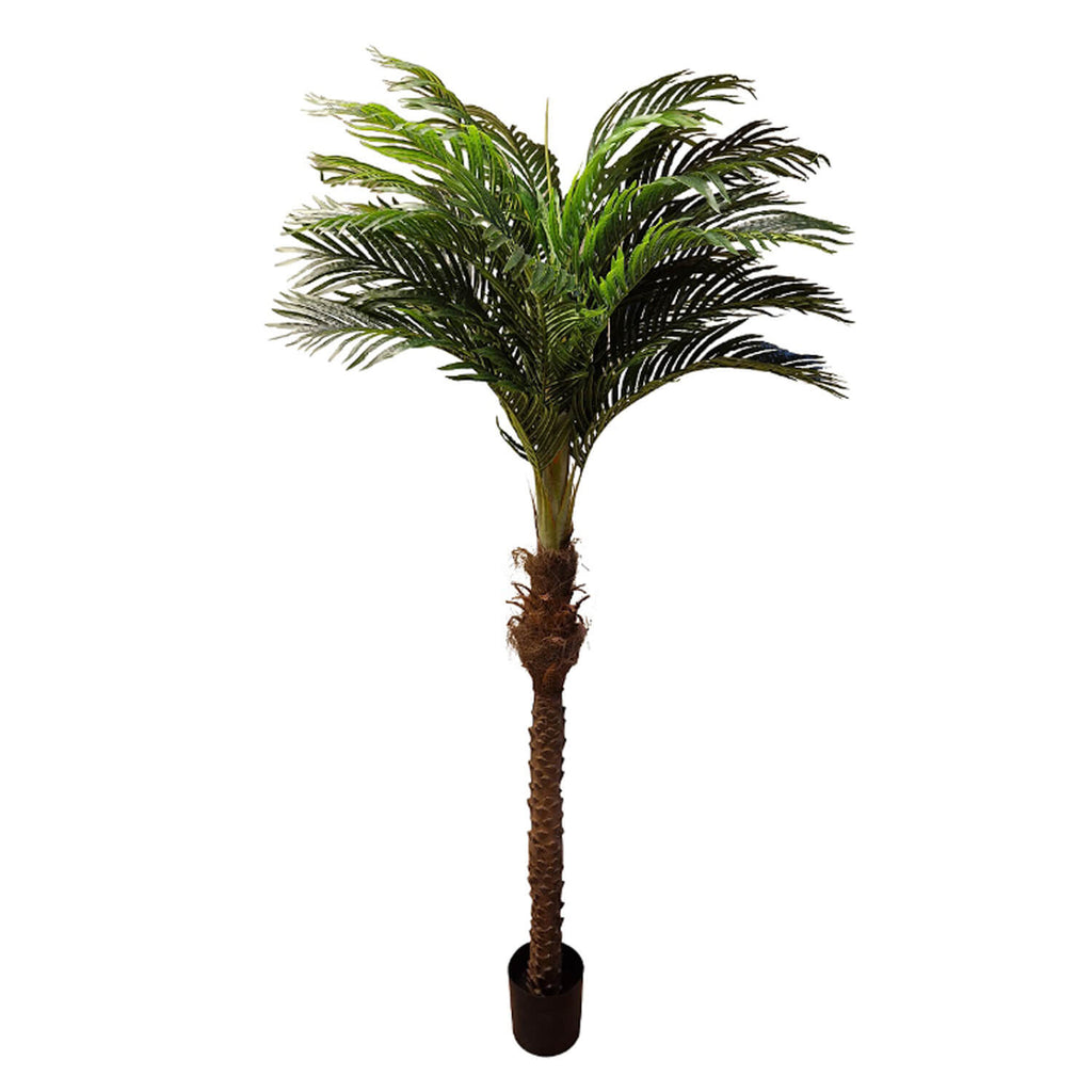 Green/Brown Hawaii Coffee Palma artificial de 220 cm