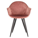 Cadeira de rosa velha fiona