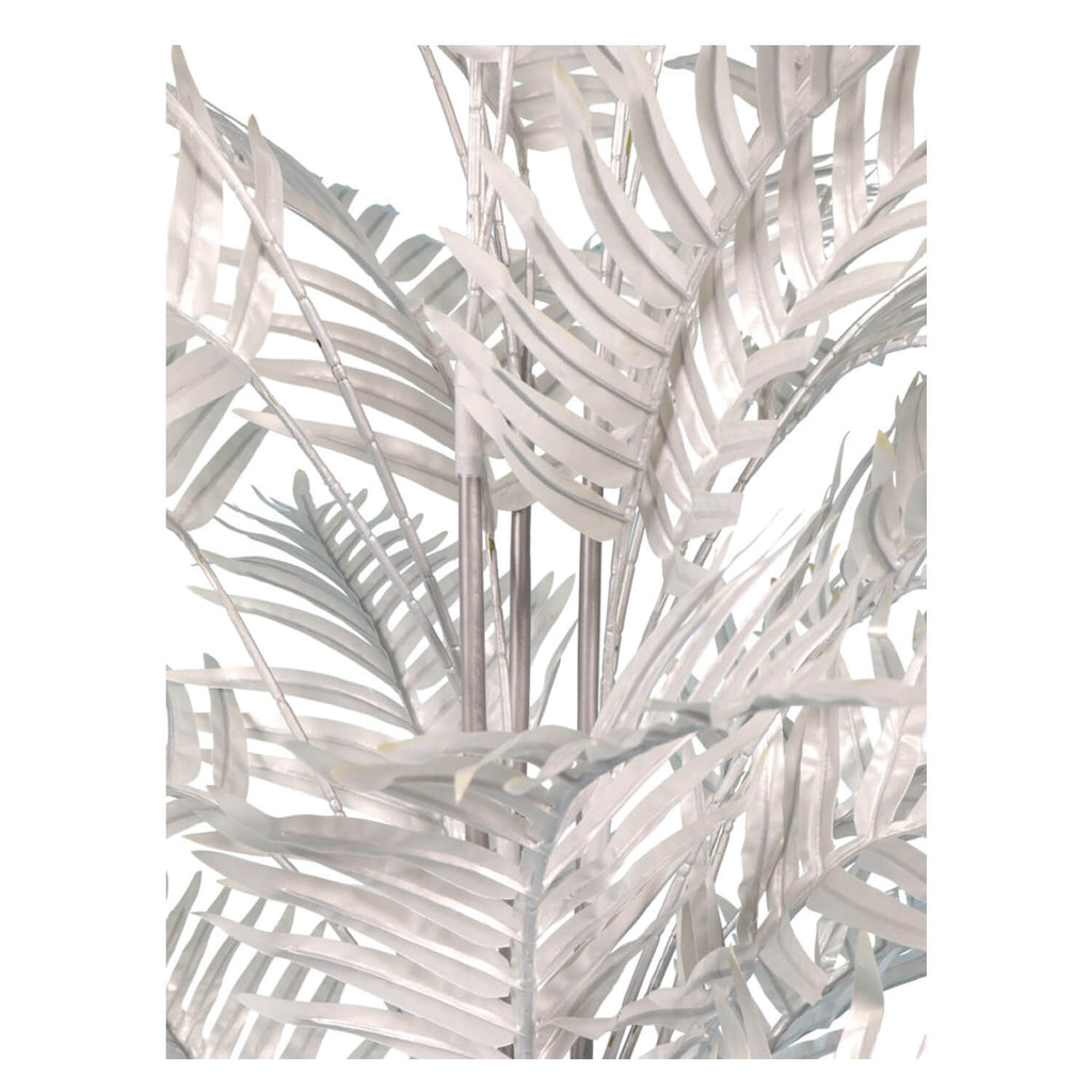 Café de plata de Palma Areca Areca de 160 cm