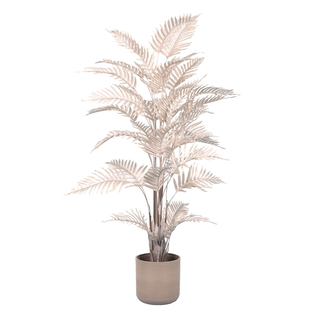 Café de plata de Palma Areca Areca de 160 cm