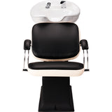 Fauteuil de Lavage Godot