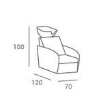 Fauteuil de Lavage Globe