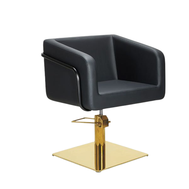 Silla de peluquería del ego