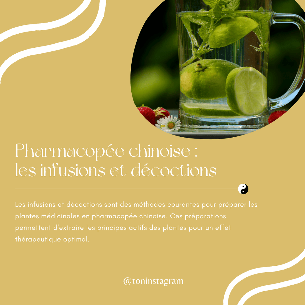 Pack Contenu MÉDECINE CHINOISE