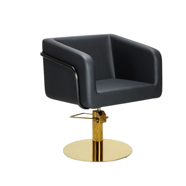 Silla de peluquería del ego