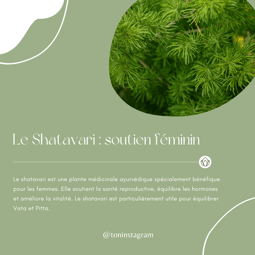 Pack Contenu AYURVEDA