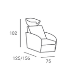 Fauteuil de Lavage Royal