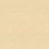 Chaises à manger lot de 2 Crème Velours