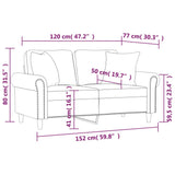 Canapé 2 places avec oreillers gris clair 120 cm velours