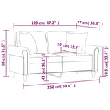 Canapé 2 places avec oreillers décoratifs noir 120 cm velours