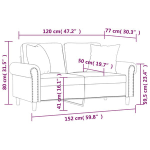 Canapé 2 places avec oreillers décoratifs brun 120 cm velours