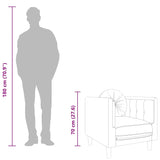 Fauteuil avec coussin noir velours