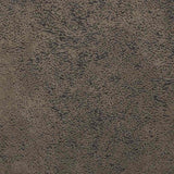 Chaises de salle à manger 2 pcs Gris foncé 58 x 67 x 97 cm