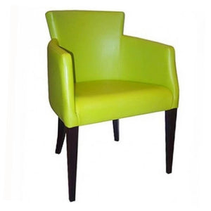 Fauteuil Omega Vert