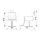 Fauteuil de Coiffure EVA