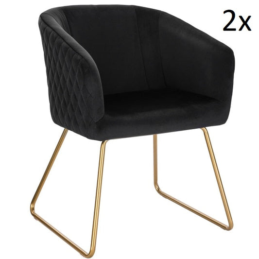 Set of 2x DIANA chairs