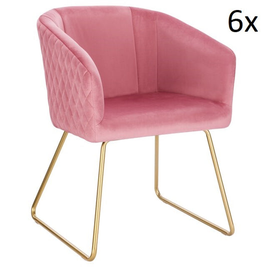 Lot 6x DIANA chairs